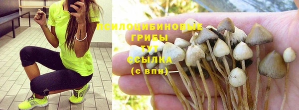 кокаин премиум Белокуриха